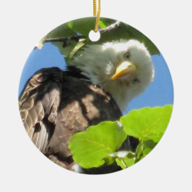 Bald Eagle Ornament (Front)