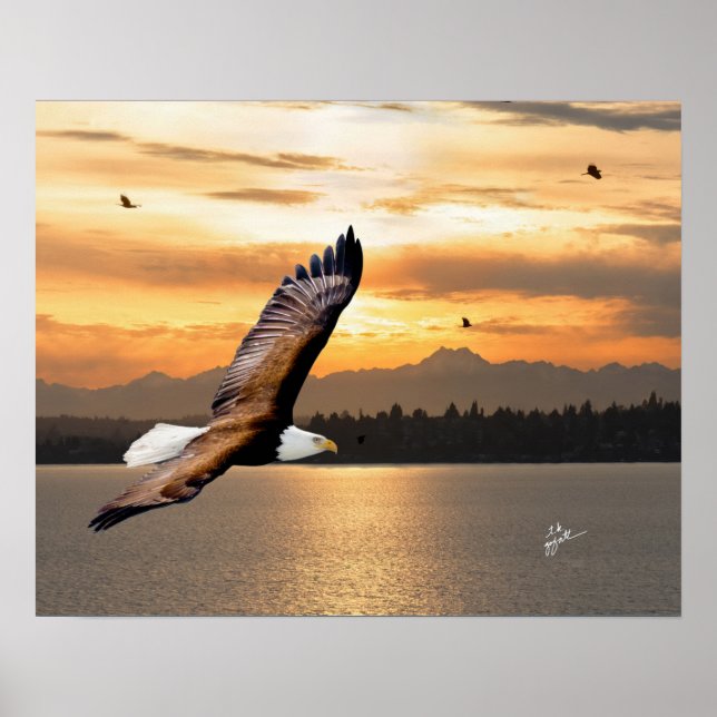 Bald Eagle Over Olympic Mountain Sunset Fine Art Poster (Front)