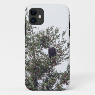 Bald Eagle P2825 Case-Mate iPhone Case
