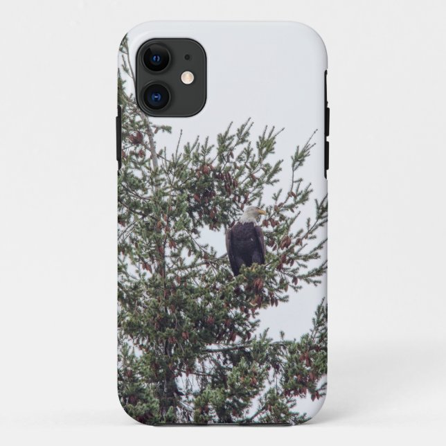 Bald Eagle P2825 Case-Mate iPhone Case (Back)