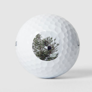 Bald Eagle P2825 Golf Balls