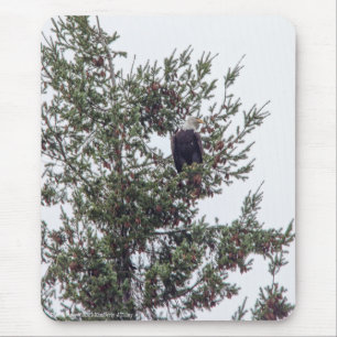 Bald Eagle P2825 Mouse Pad