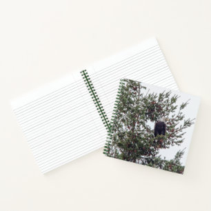 Bald Eagle P2825 Notebook
