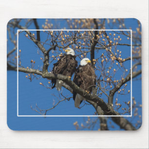 Bald Eagle Pair Mouse Pad