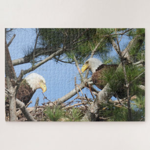 Bald Eagle Pair tending to nest  Jigsaw Puzzle