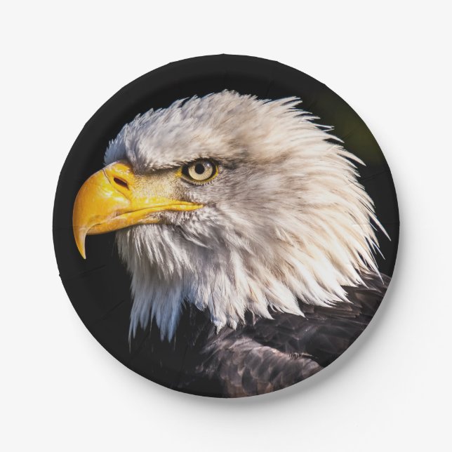Bald Eagle Paper Plate (Front)