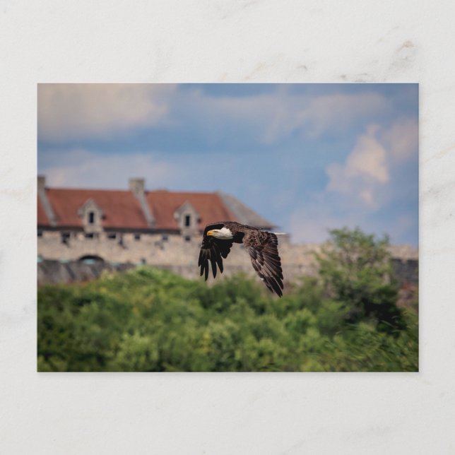 Bald Eagle passing Fort Ticonderoga Postcard (Front)