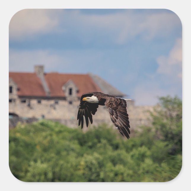 Bald Eagle passing Fort Ticonderoga Square Sticker (Front)