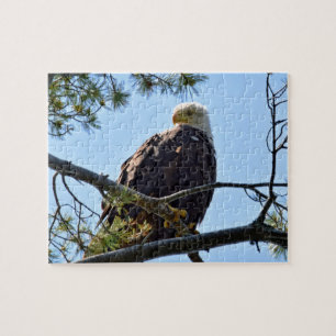 Bald Eagle Perch - 8x10 - 110 pcs. Jigsaw Puzzle