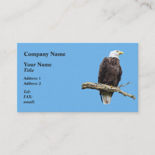 Bald Eagle Perched on a Branch Business Card