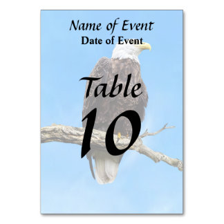 Bald Eagle Perched on a Branch Table Number
