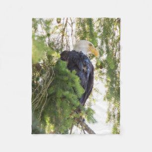 Bald Eagle perches in Douglas Fir Fleece Blanket