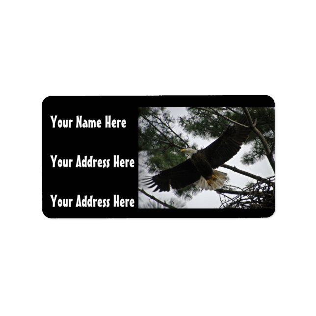 Bald Eagle Photo Label (Front)