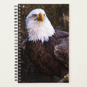 Bald Eagle Planner