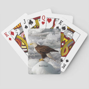 Bald Eagle playing cards
