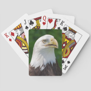 Bald Eagle Playing Cards