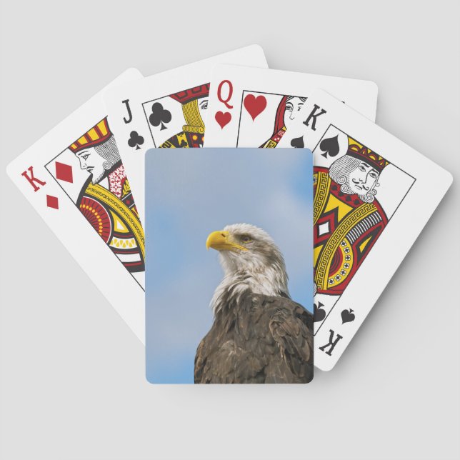 Bald Eagle Playing Cards (Back)