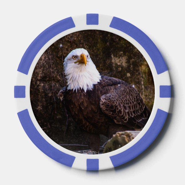 Bald Eagle Poker Chips (Front)