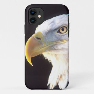 Bald Eagle Portrait, Haliaeetus leucocephalus, Case-Mate iPhone Case