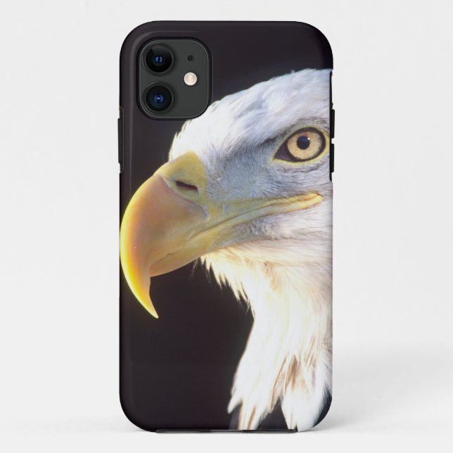 Bald Eagle Portrait, Haliaeetus leucocephalus, Case-Mate iPhone Case (Back)