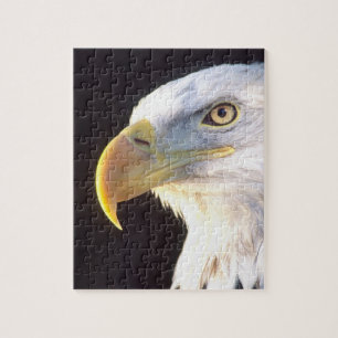 Bald Eagle Portrait, Haliaeetus leucocephalus, Jigsaw Puzzle