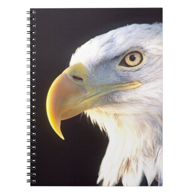 Bald Eagle Portrait, Haliaeetus leucocephalus, Notebook (Front)