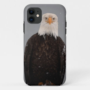 Bald Eagle Portrait in the Snow, Haliaeetus Case-Mate iPhone Case