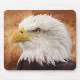 Bald Eagle Portrait Mouse Pad