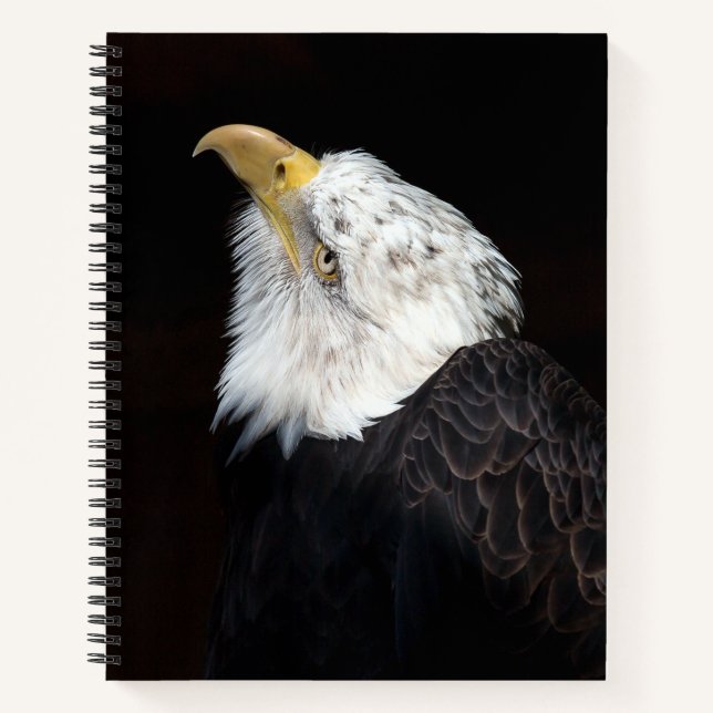 Bald Eagle Portrait Notebook (Front)