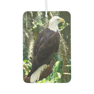 Bald Eagle Portrait Rectangle Air Freshener