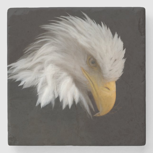 Bald Eagle Portrait Stone Coaster (Front)