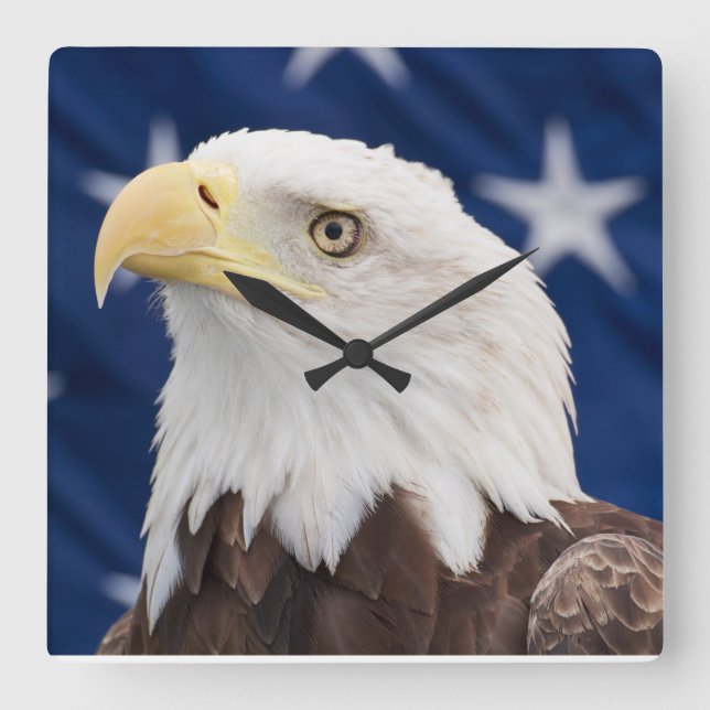 Bald Eagle Portrait with stars Square Wall Clock (Front)