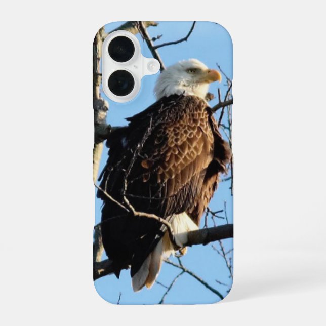Bald Eagle Pose iPhone 16 Case (Back)