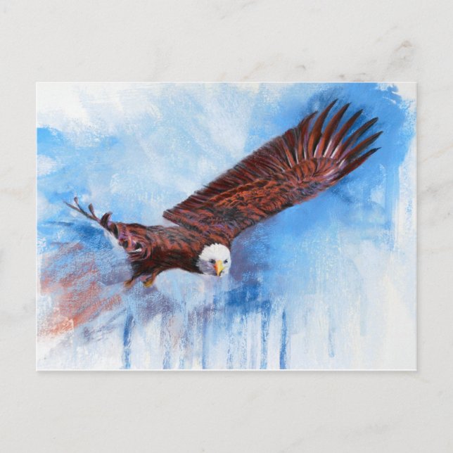 Bald Eagle Postcard (Front)