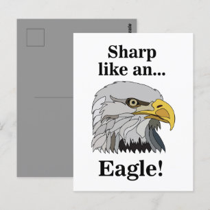 Bald Eagle Postcard