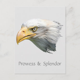 Bald Eagle Prowess & Splendour customisable Postcard