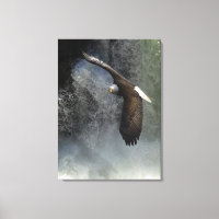 Bald Eagle Raptor Wild Animal Photo Poster