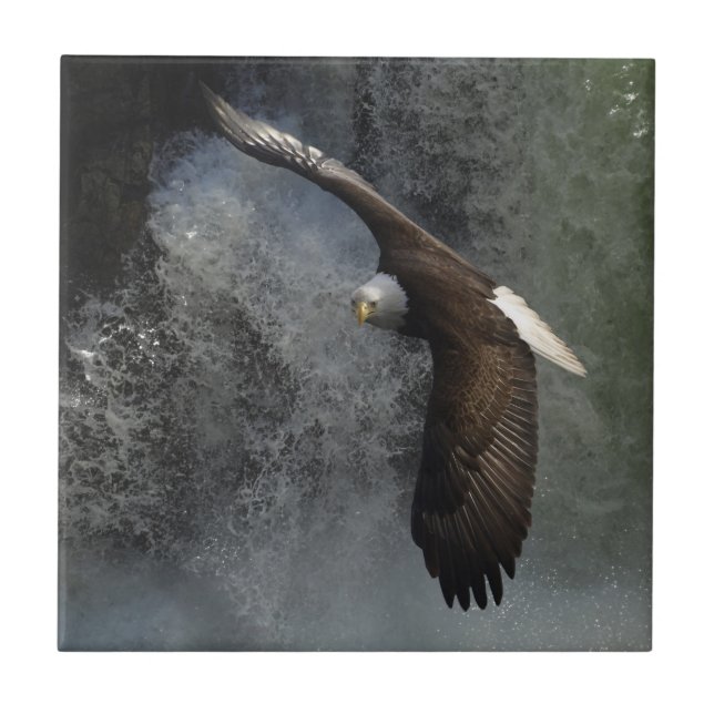 Bald Eagle Raptor Wildlife Waterfall Tile (Front)