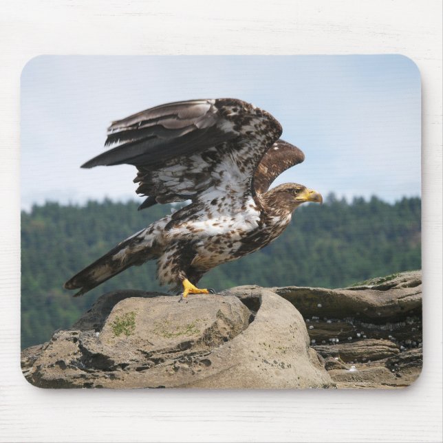 Bald Eagle Ready For Takeoff - mouse pad (Front)