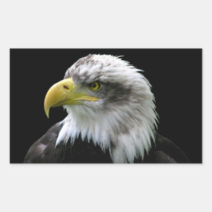 Bald Eagle Rectangular Sticker