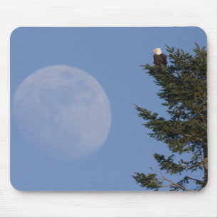 Bald Eagle Rising Full Moon Mouse Pad