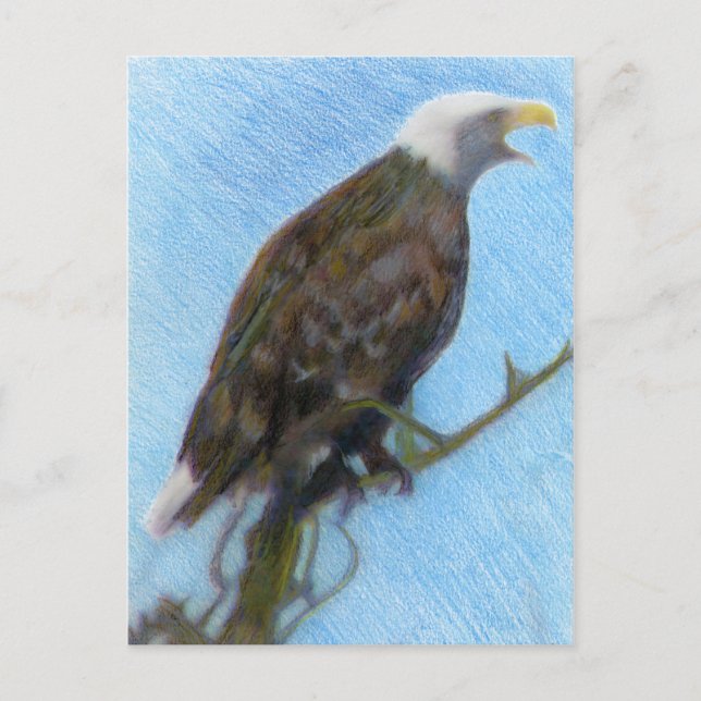 Bald Eagle Screaming in a Tree Postcard (Front)