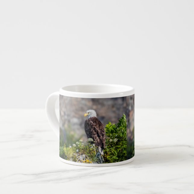 Bald eagle sitting on the rock espresso cup (Front Left)