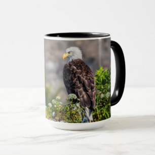 Bald eagle sitting on the rock mug