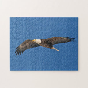 Bald Eagle Sky High Jigsaw Puzzle