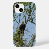 Bald Eagle Smile iPhone Case