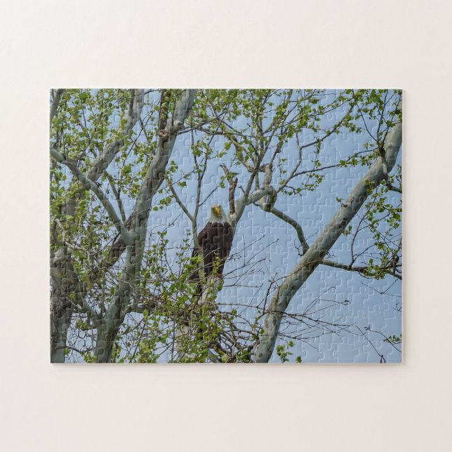 Bald Eagle Smile Jigsaw Puzzle (Horizontal)