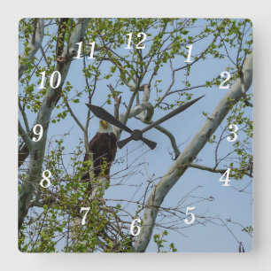 Bald Eagle Smile Wall Cloc Square Wall Clock