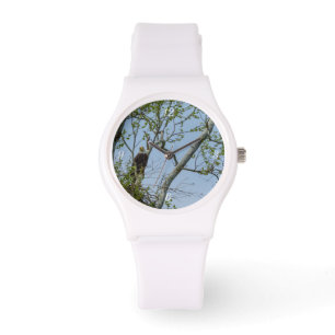 Bald Eagle Smile Watch