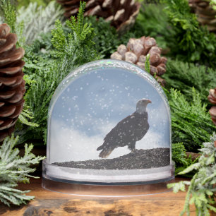 Bald Eagle Snow Globe